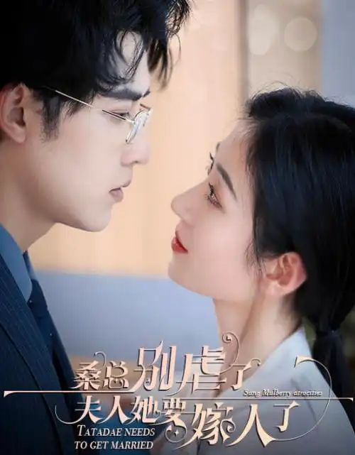 热播电视剧免费看 狂飙